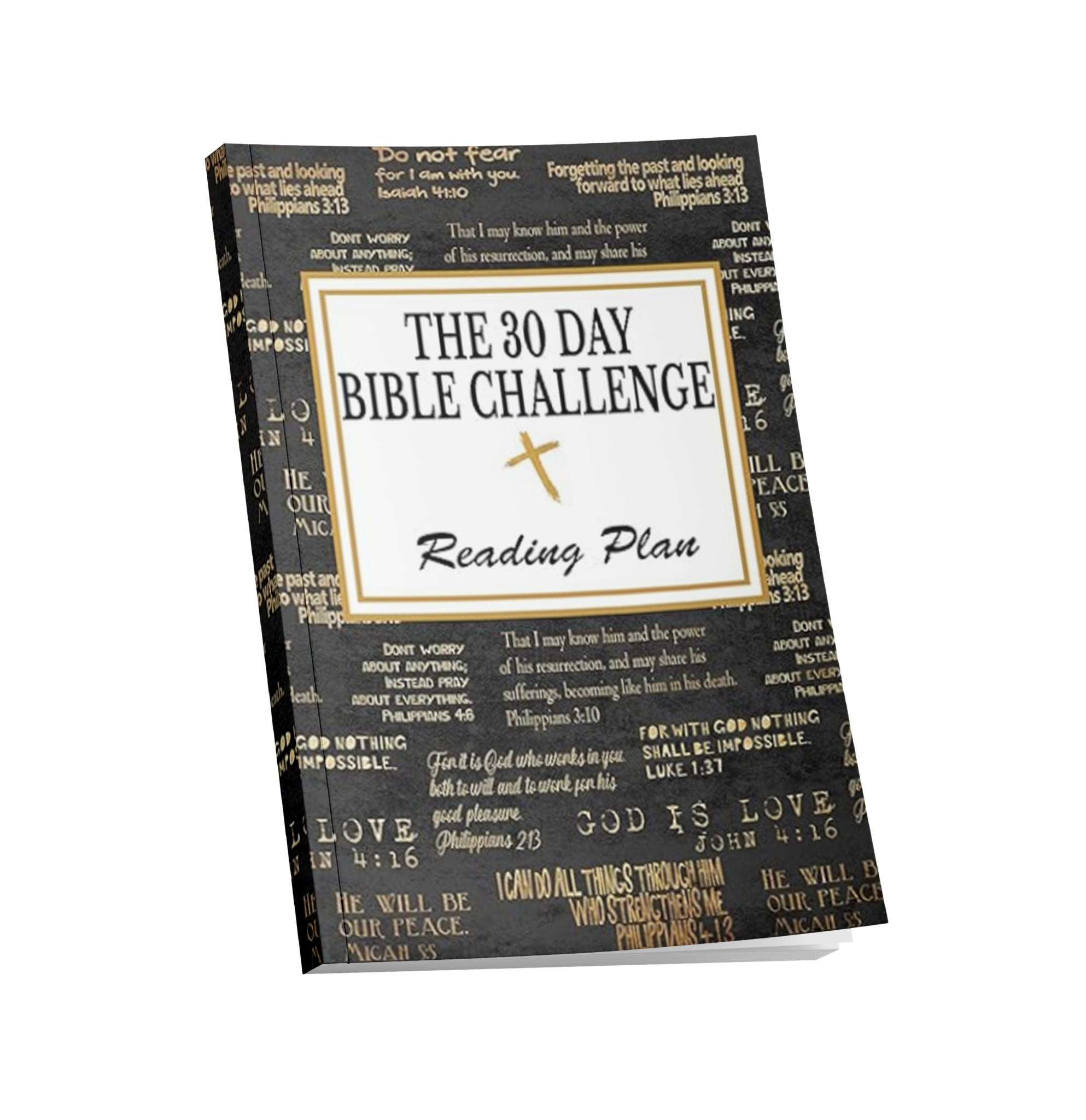 The 30 Day Bible Challeng Reading Plan